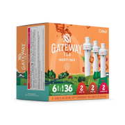 Gateway Tea® 6-Pack Variety Pack - Classic Finish