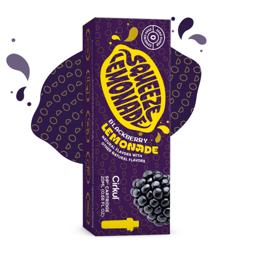 Squeeze Blackberry Lemonade - Travel Edit